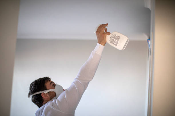 Best Mold Inspection  in Walbridge, OH