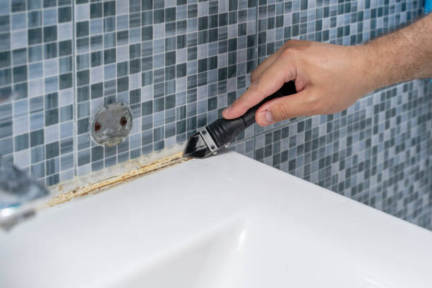 Best Commercial Mold Removal  in Walbridge, OH