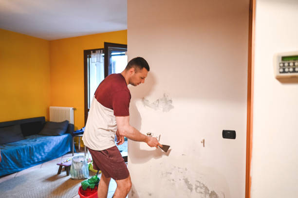 Best Certified Mold Removal  in Walbridge, OH